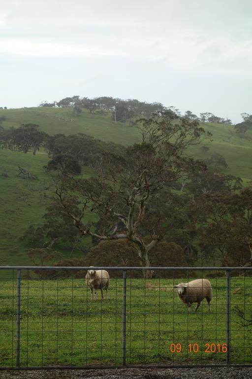 Morella Farmstay Cape Jervis Luaran gambar