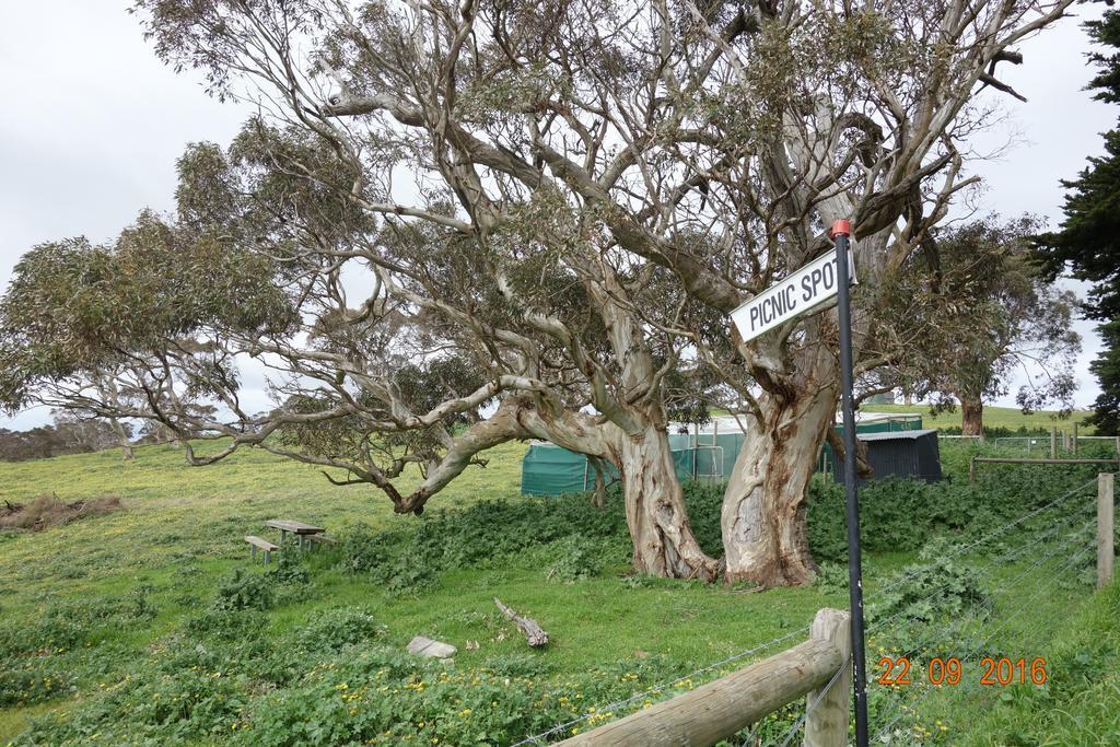 Morella Farmstay Cape Jervis Luaran gambar