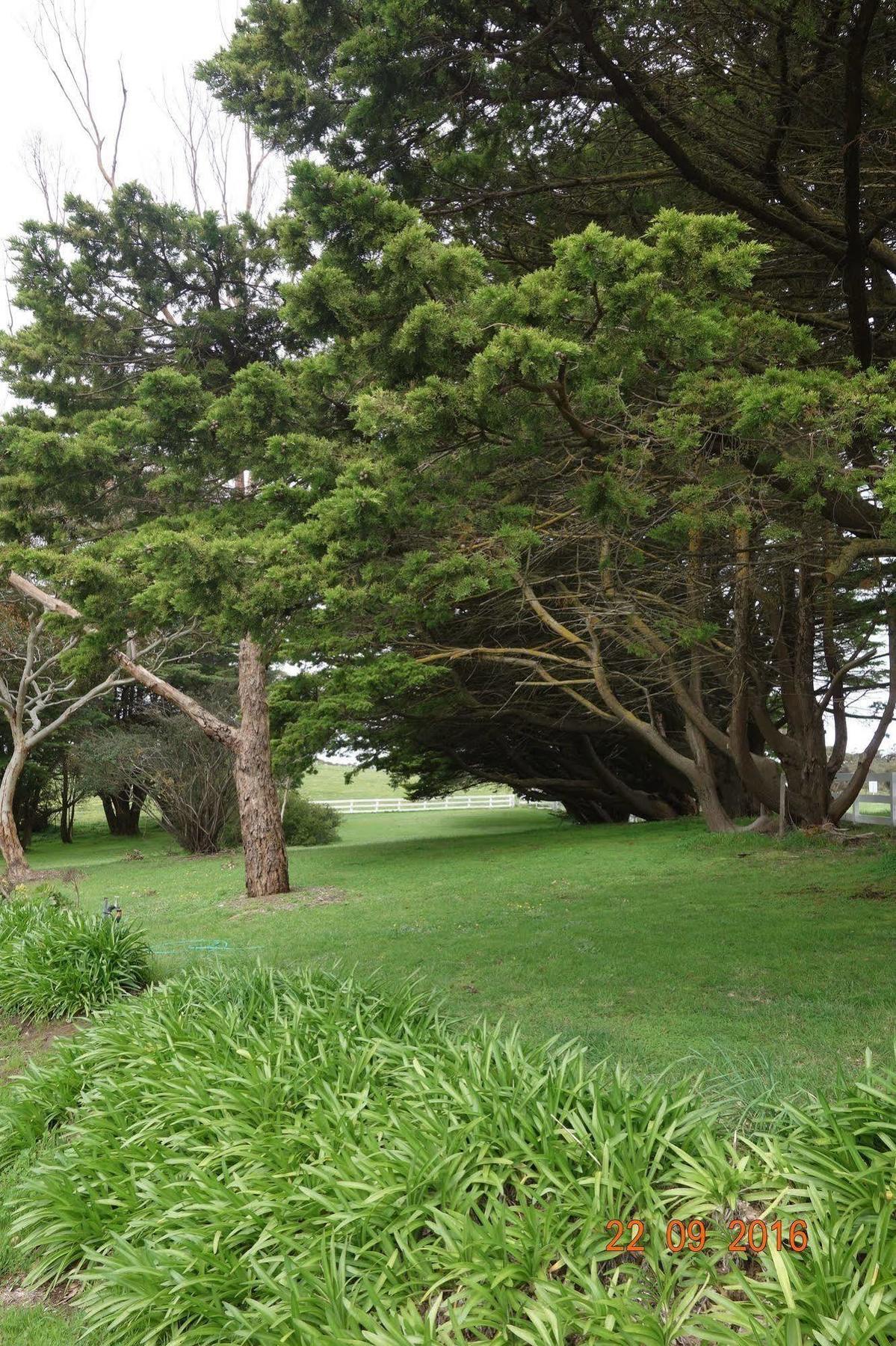 Morella Farmstay Cape Jervis Luaran gambar