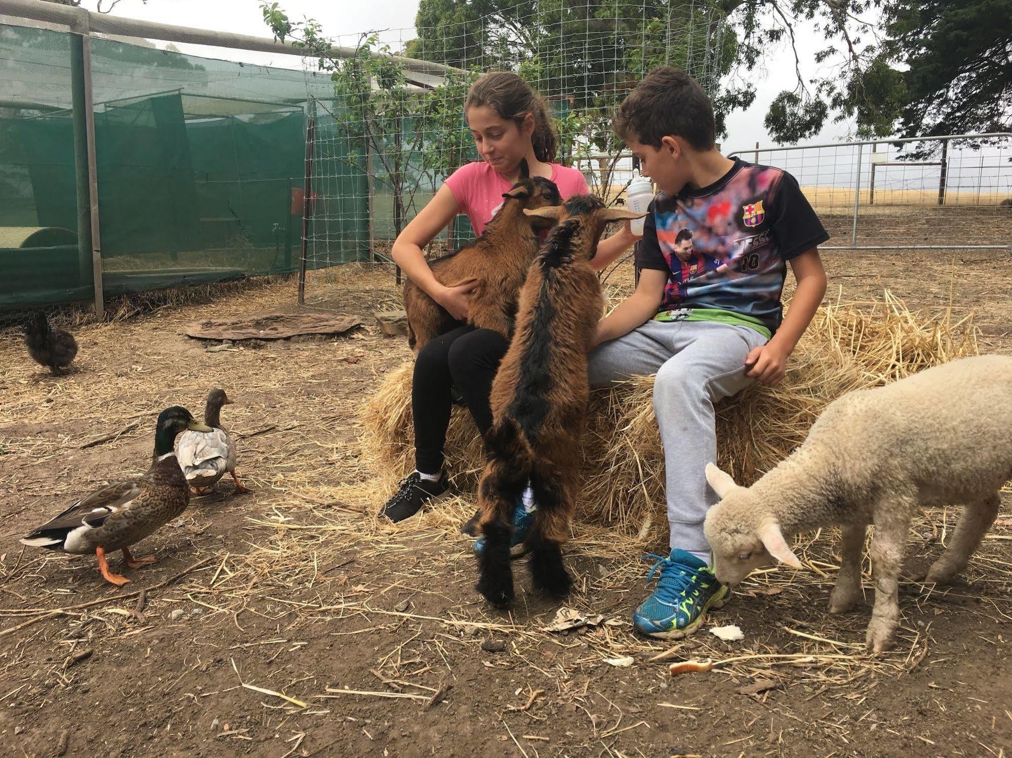 Morella Farmstay Cape Jervis Luaran gambar