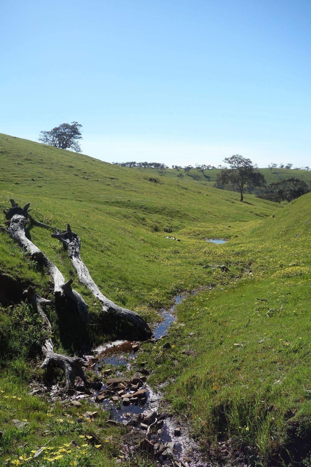 Morella Farmstay Cape Jervis Luaran gambar